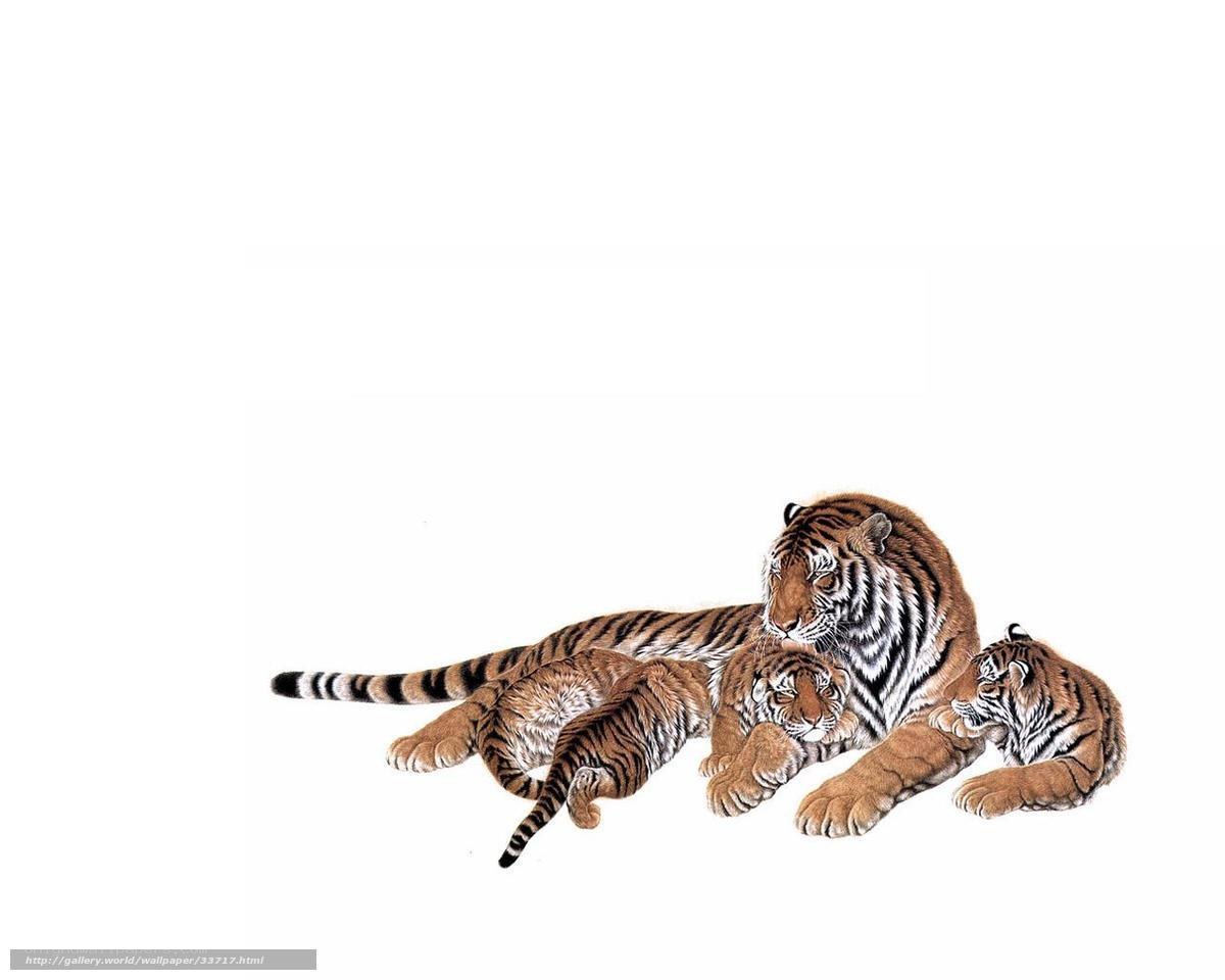 tiger family portrait