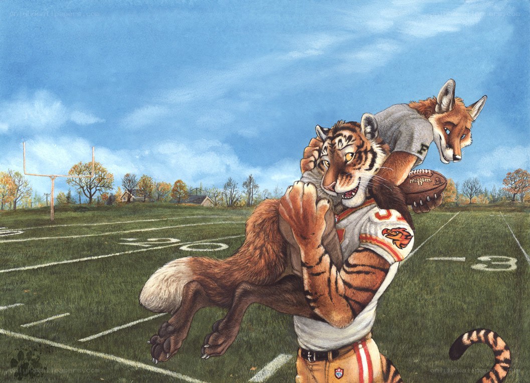 tiger football player tackling fox
