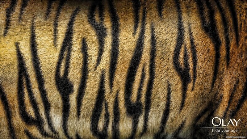 Tiger Fur Pattern — Brown, Natural