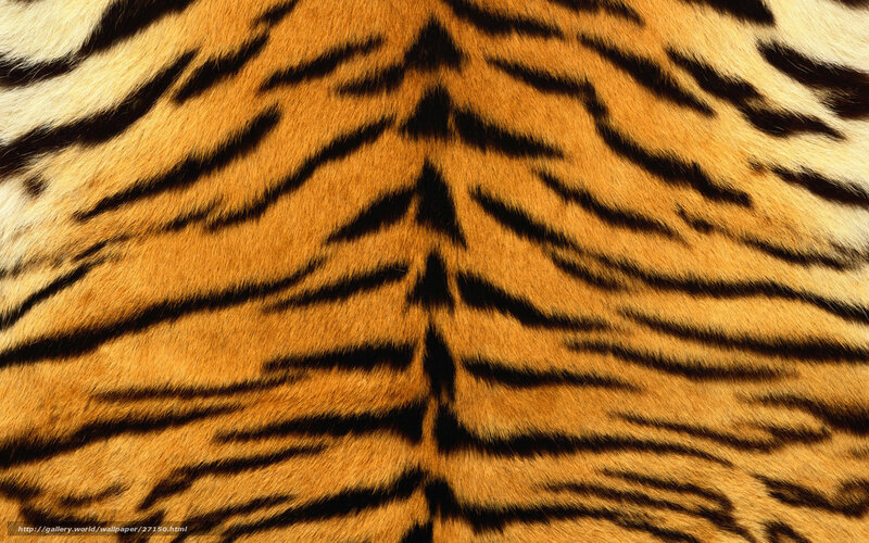 Tiger Fur Pattern — Orange