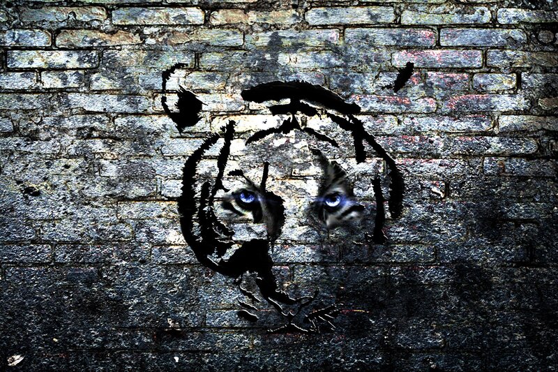 tiger graffiti on brick wall