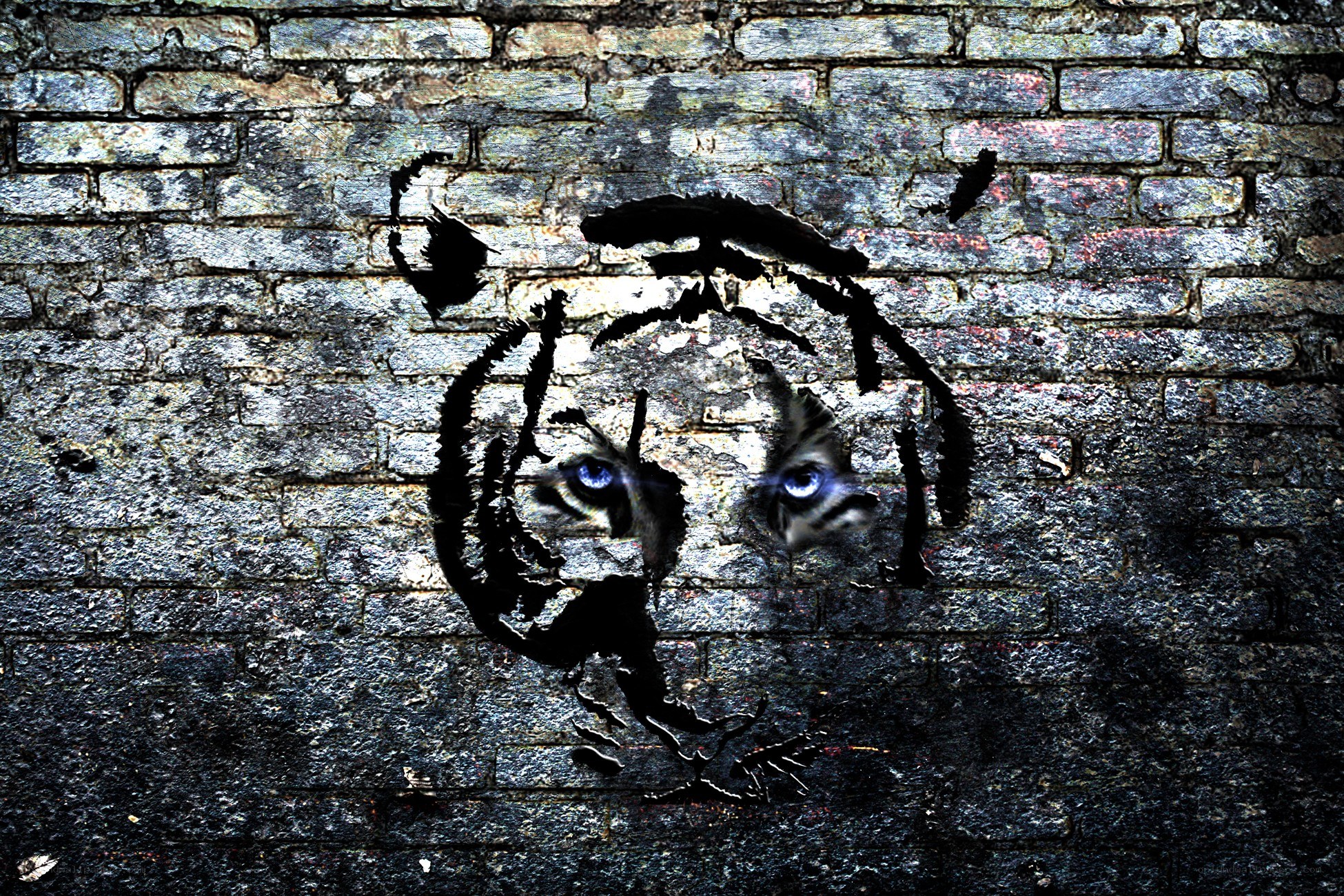 tiger graffiti on brick wall