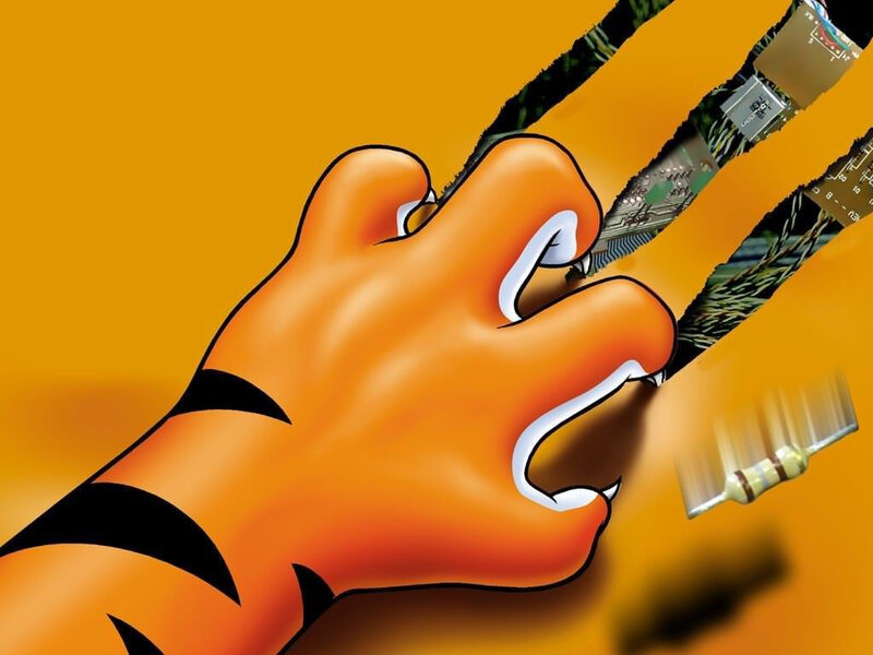 Tiger Hand Holding Circuit