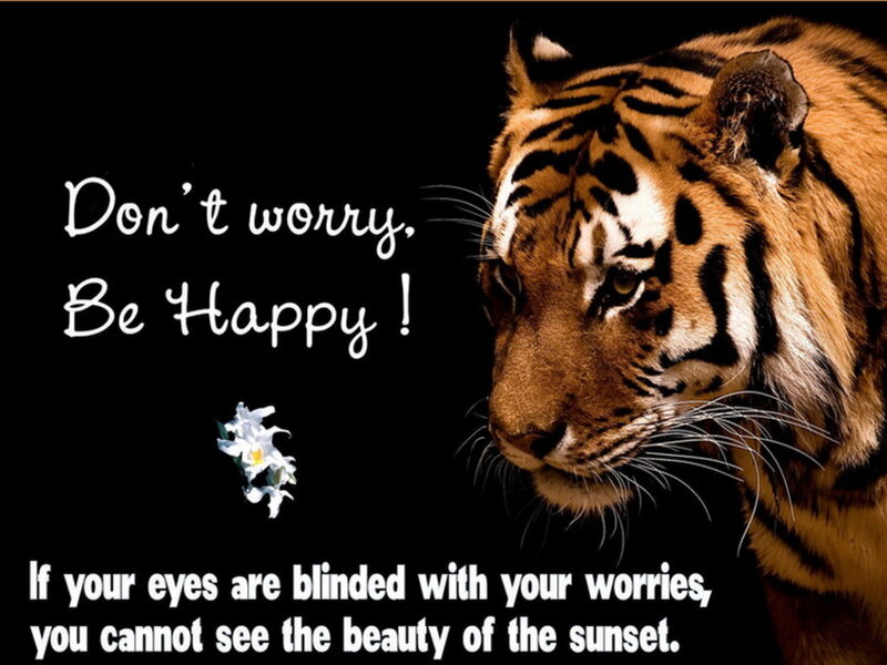 Tiger Head — Black, Calm