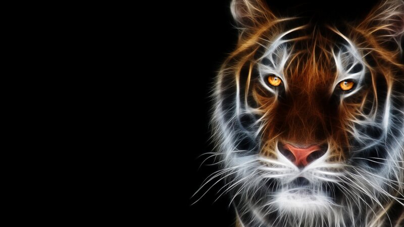 Tiger Head — Black, Dramatic, Digital Art, Eyes, Whiskers, Stripes