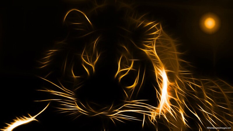 Tiger Head — Black, Dramatic, Night