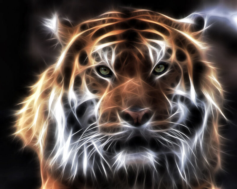 Tiger Head — Black