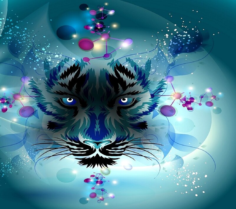 Tiger Head — Blue
