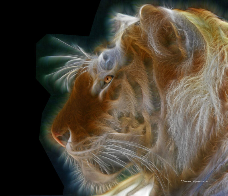 Tiger Head Close-up — Brown