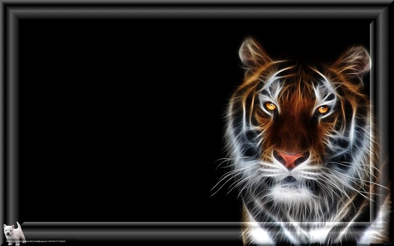 tiger head digital art