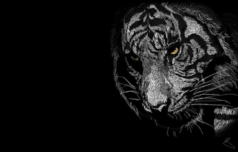 Tiger Head Illustration — Black, Dramatic