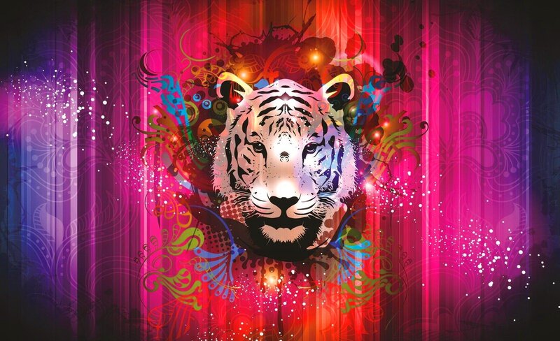 Tiger Head Illustration — Pink