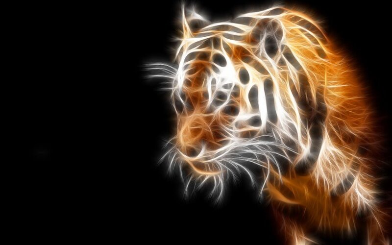 Tiger Head in Flames — Orange