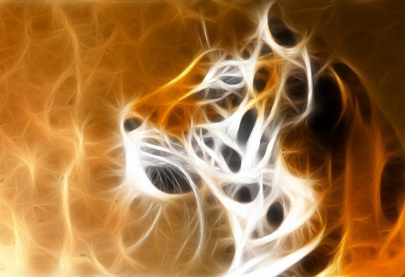 Tiger Head in Flames