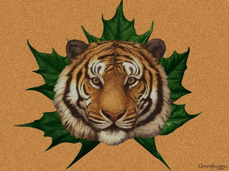 Tiger Head in Leaf