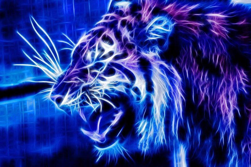 Tiger Head in Motion — Blue