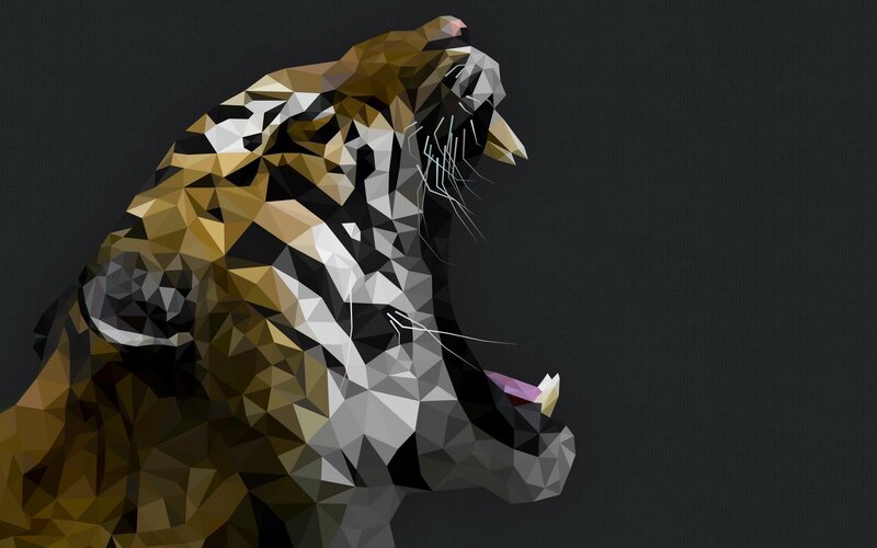 Tiger Head in Profile — Black, Dramatic
