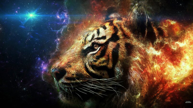 Tiger Head in Space