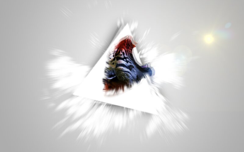 tiger head in white triangle