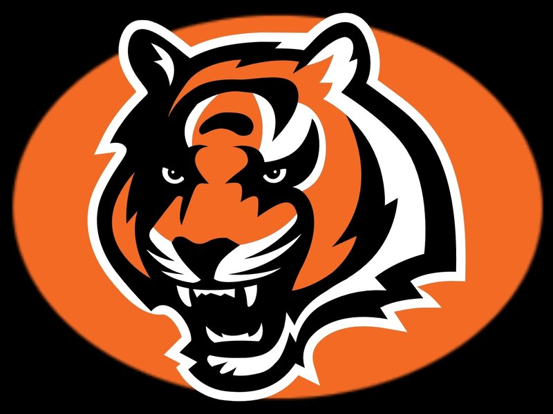 Tiger Head Logo — Orange, Aggressive