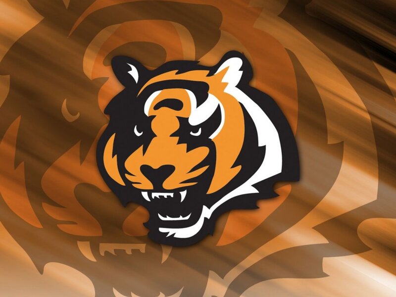 Tiger Head Logo — Orange