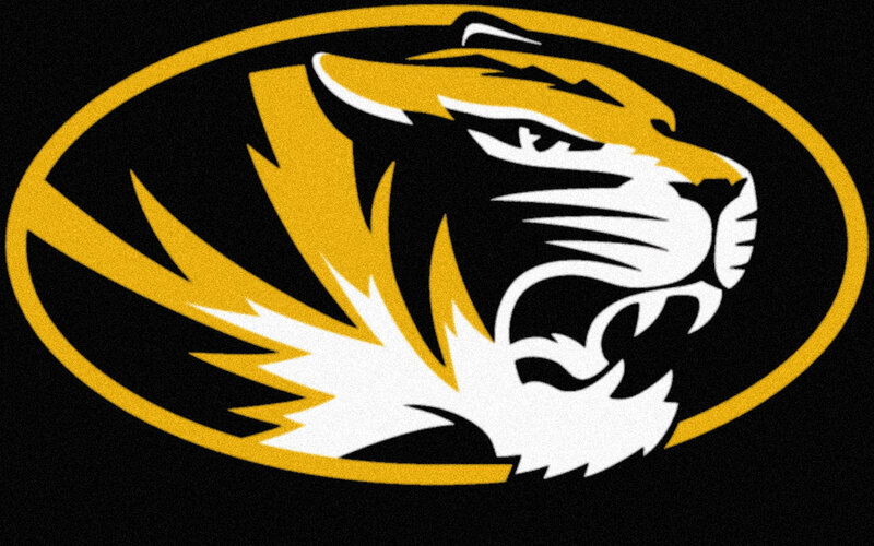 Tiger Head Logo