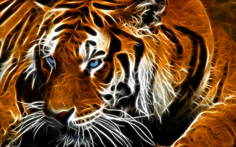 Tiger Head — Orange, Dramatic, Digital Art, Eyes, Stripes