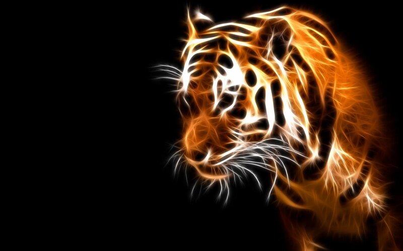 Tiger Head — Orange, Dramatic, Digital Art, Fire