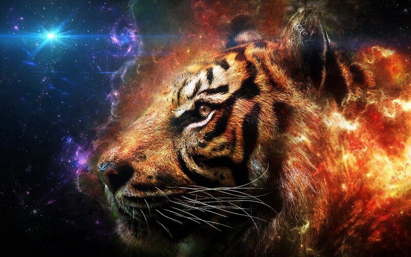 Tiger Head — Orange, Dramatic, Digital Art, Galaxy