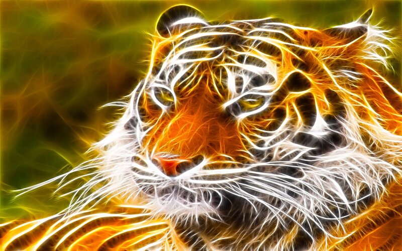 Tiger Head — Orange, Dramatic, Digital Art, Stripes