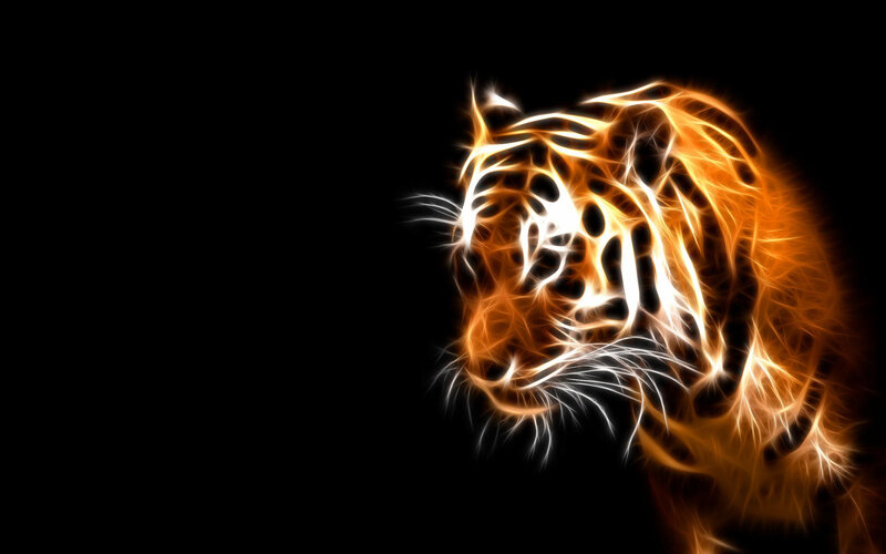 Tiger Head — Orange, Dramatic, Digital Art