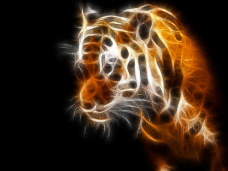 Tiger Head — Orange, Dramatic