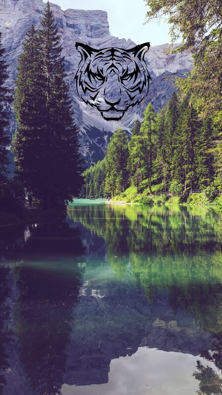 Tiger Head over Lake