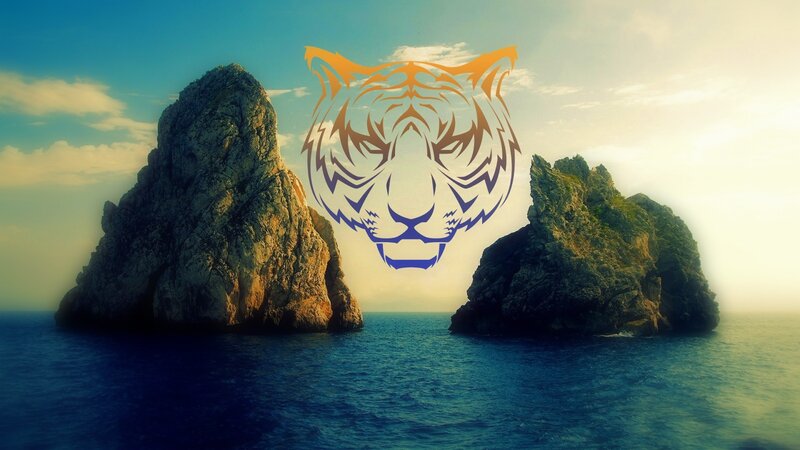 Tiger Head over Sea