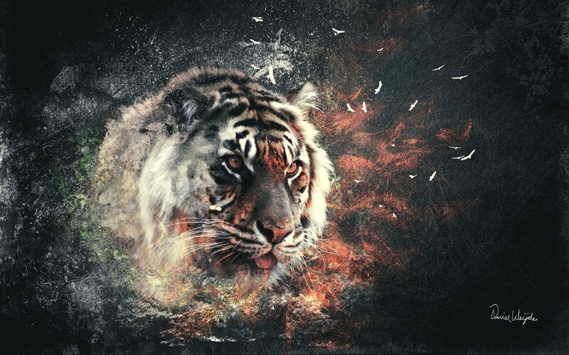 Tiger Head Portrait — Black, Dramatic, Digital Art, Birds