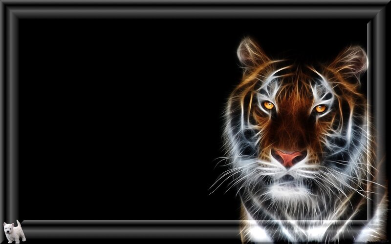 Tiger Head Portrait — Black, Dramatic, Digital Art, Dog