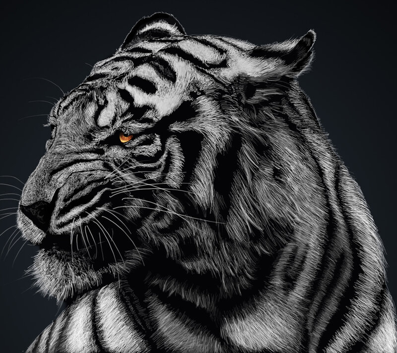 Tiger Head Portrait — Black, Dramatic, Digital Art, Eye