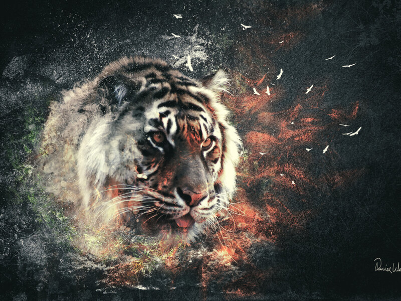 Tiger Head Portrait — Black, Dramatic, Digital Art
