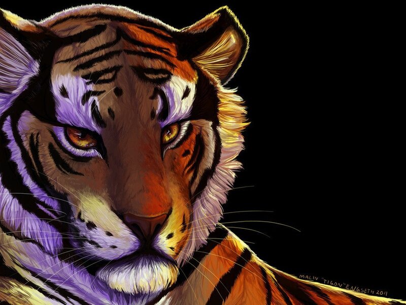 Tiger Head Portrait — Black, Intense, Digital Art
