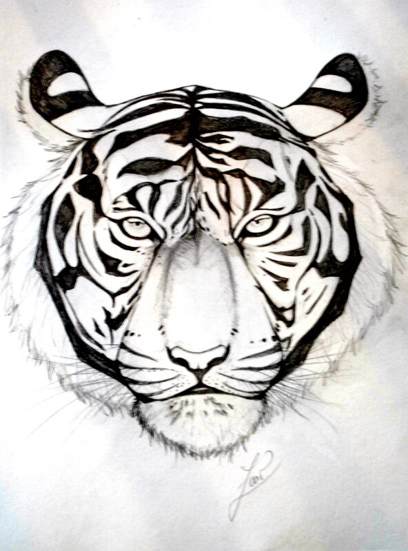 Tiger Head Portrait — Black, Intense, Illustration, Eyes