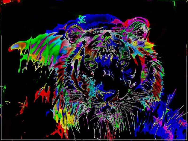 Tiger Head Portrait — Blue, Vibrant