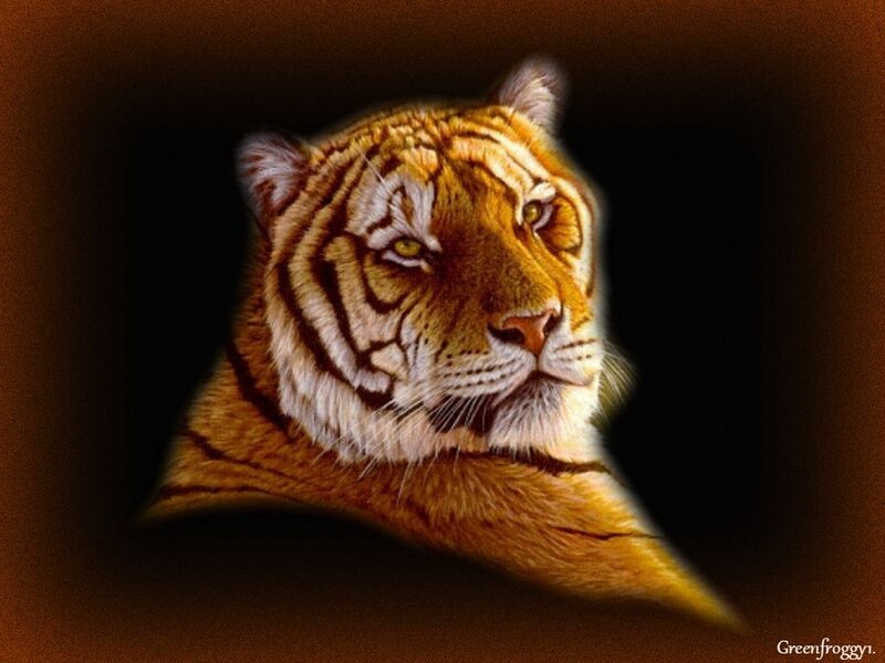 Tiger Head Portrait — Orange, Dramatic, Digital Art, Dark Background