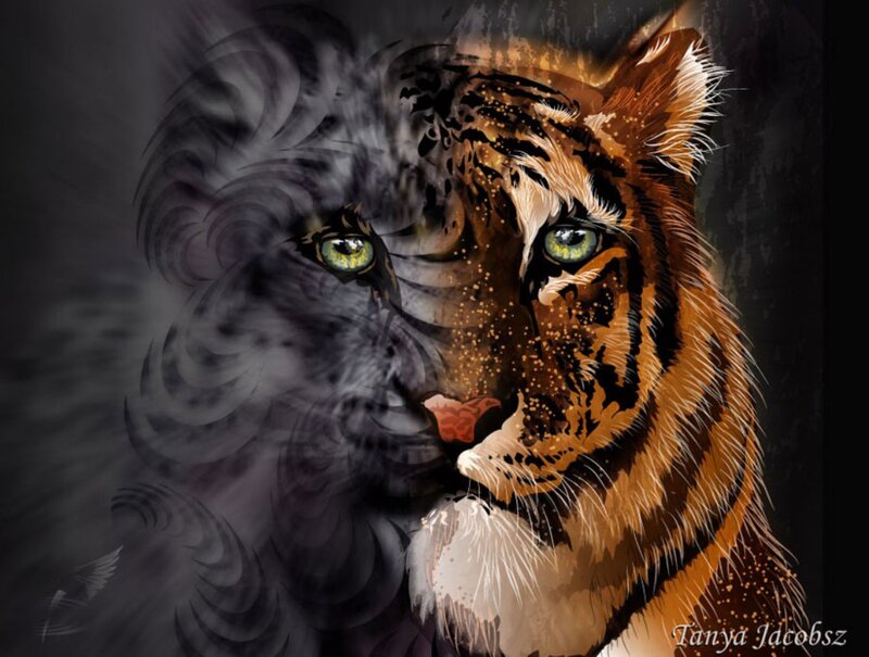 Tiger Head Portrait — Orange, Dramatic
