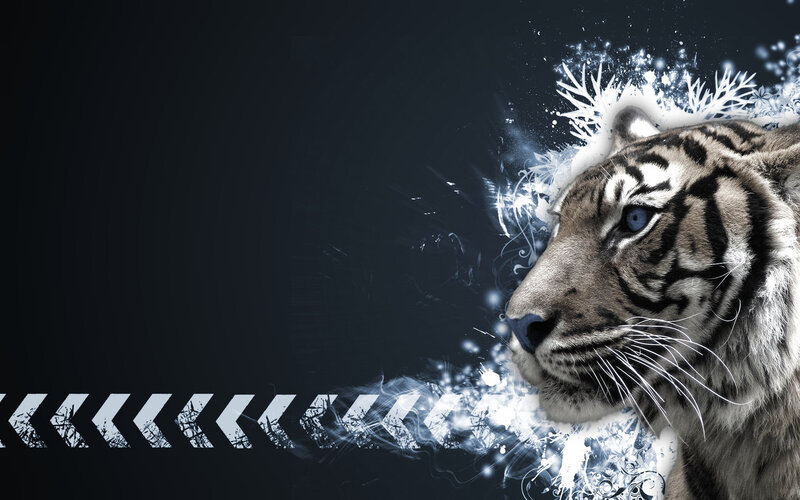 Tiger Head Profile — Black