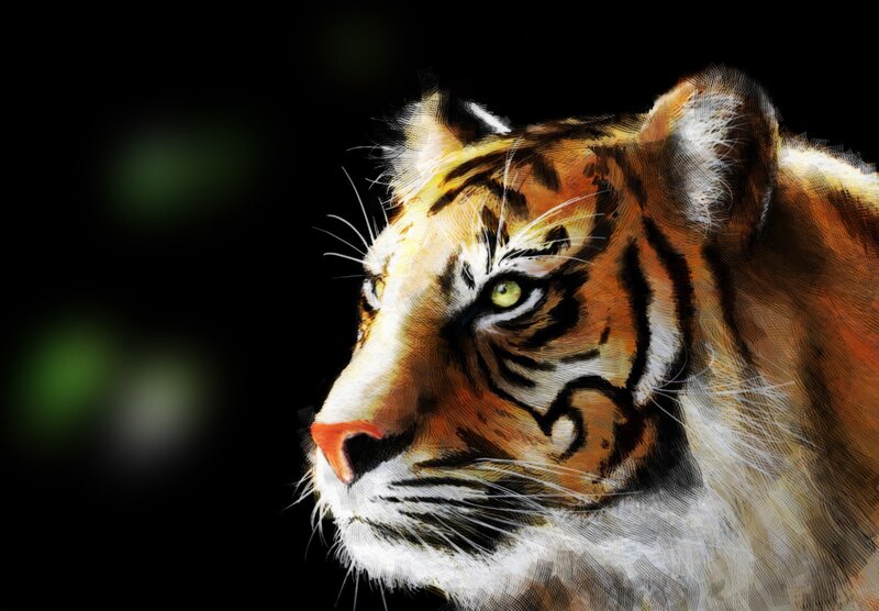 Tiger Head Profile — Orange, Dramatic, Digital Art
