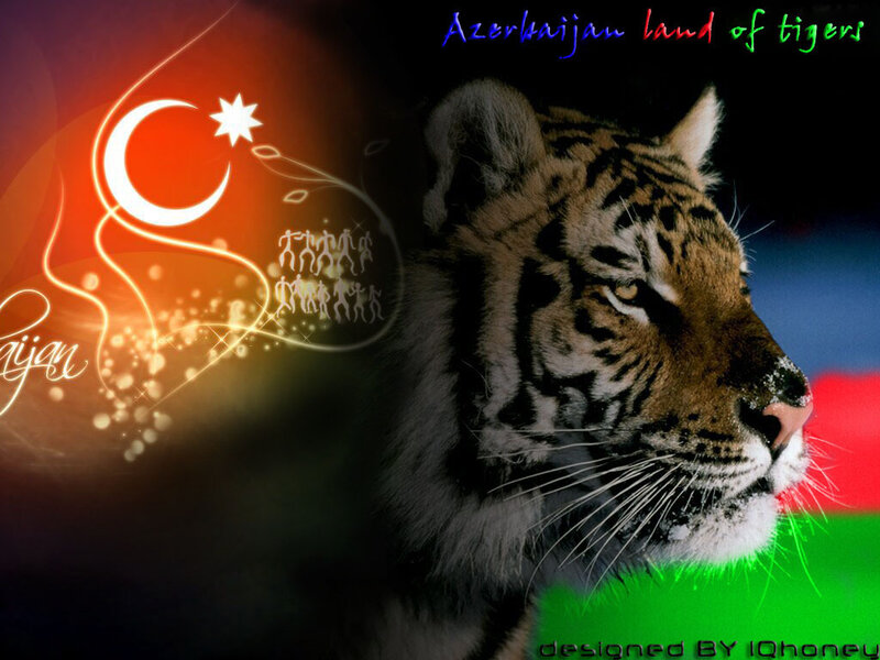 Tiger Head Profile — Red