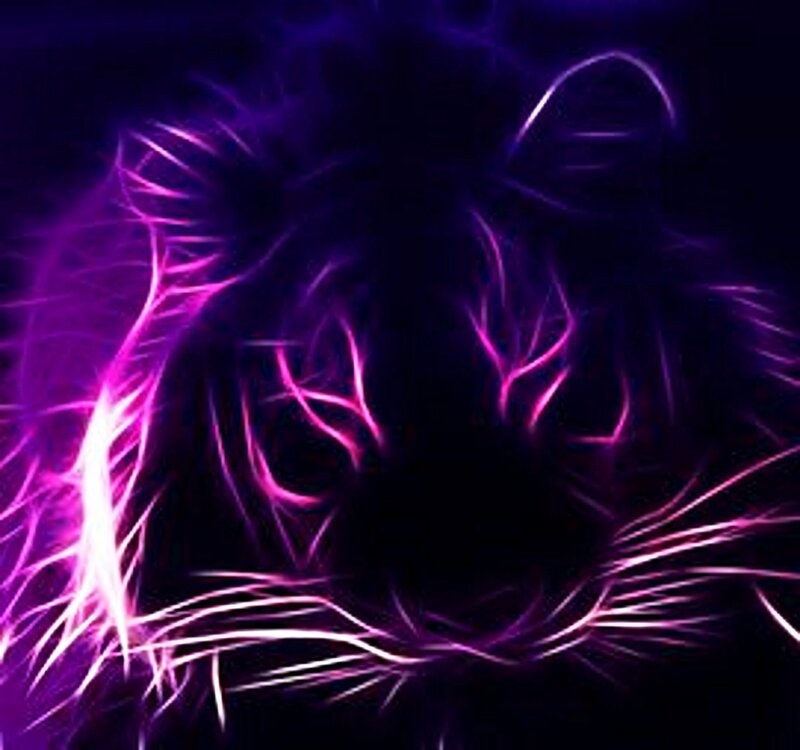 Tiger Head — Purple, Dramatic, Digital Art