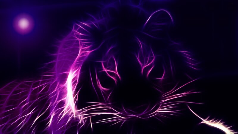 Tiger Head — Purple