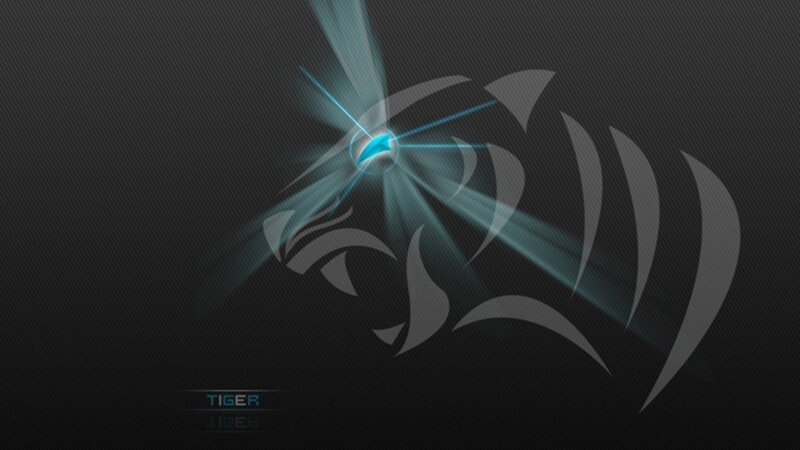 Tiger Head Silhouette — Black, Dramatic