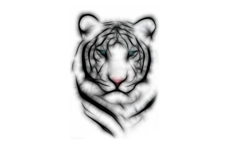 tiger head sketch art